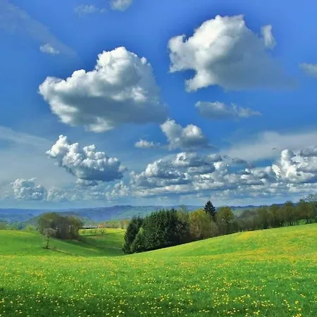 Bout De Cote Bed & Breakfast 3*