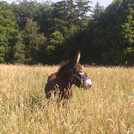 Bout De Cote 3* Lacam-dʼOurcet