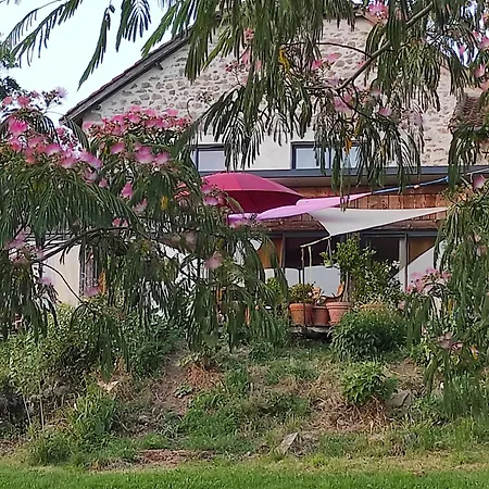 Bed & Breakfast Bout De Cote Lacam-dʼOurcet