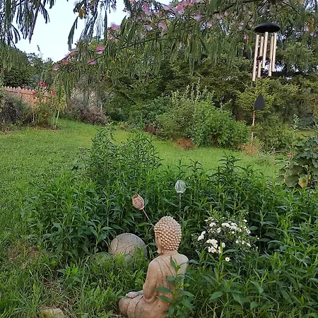 Bed & Breakfast Bout De Cote Lacam-d'Ourcet