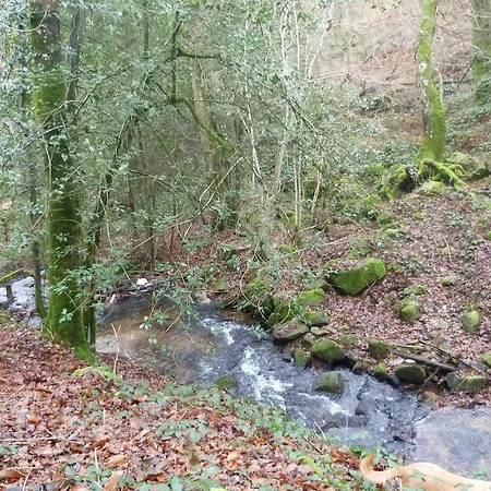 Bed & Breakfast Bout De Cote