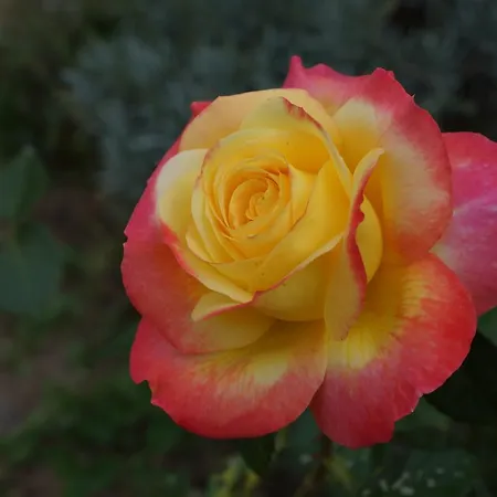 Bed & Breakfast Bout De Cote Lacam-dʼOurcet