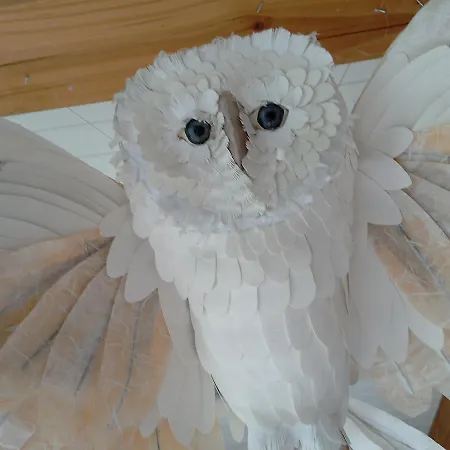 Bed & Breakfast Bout De Cote Lacam-dʼOurcet