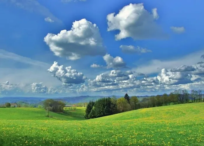 Bout De Cote Bed & Breakfast 3*