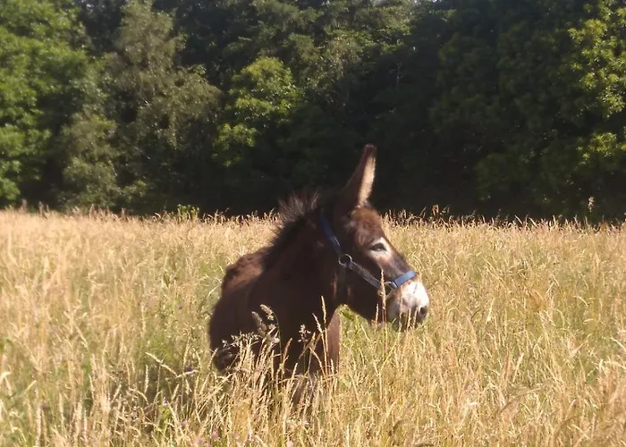 Bout De Cote 3* Lacam-dʼOurcet