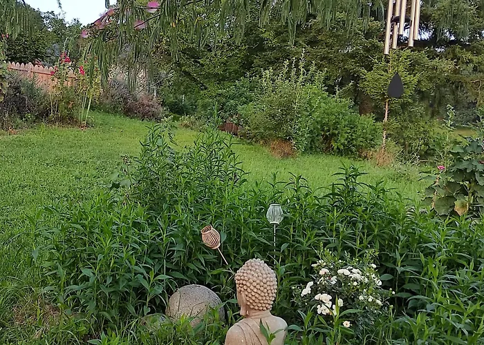 Bed & Breakfast Bout De Cote Lacam-dʼOurcet