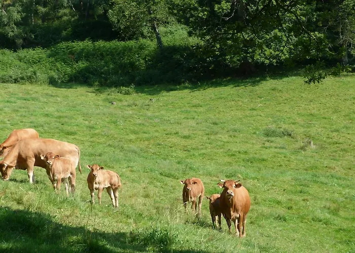 Bout De Cote Bed & Breakfast Lacam-dʼOurcet
