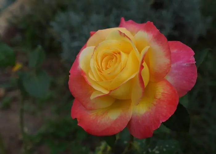 Bed & Breakfast Bout De Cote Lacam-dʼOurcet