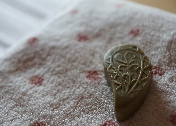 Bout De Cote 3* Lacam-dʼOurcet