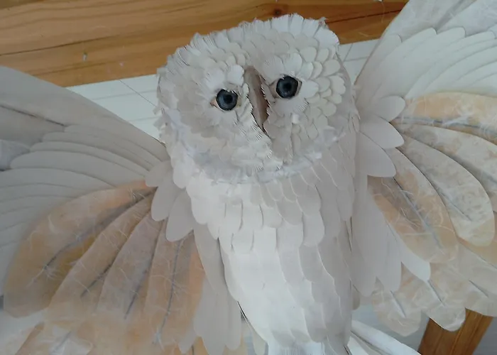 Bed & Breakfast Bout De Cote Lacam-dʼOurcet